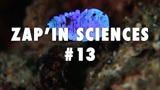 ZapIn Sciences 13  LEsprit Sorcier [upl. by Renie885]