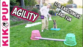 Agility for Enrichment and Fun  Dog Training [upl. by Mot61]