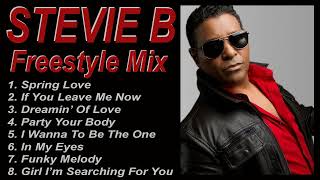 Stevie B  Mega Mix  DJ Paul S [upl. by Ylicec]