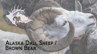 S10 E21  Alaska Dall SheepBrown Bear [upl. by Liuqa]