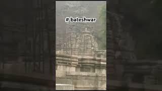 Baba bateshwar temple Murena  chambal [upl. by Anaidirib]