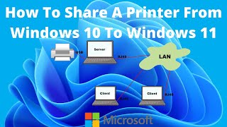 How To Share A Printer From Windows 10 To Windows 11 [upl. by Teodora]