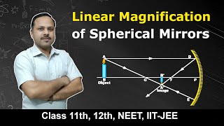 Linear Magnification of Spherical Mirrors  Ray optics  12th Physics Term 2 cbse [upl. by Larson]