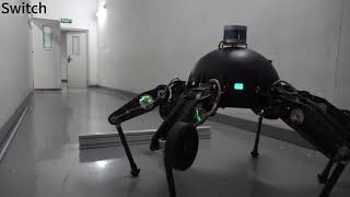 Design and multimodal locomotion plan of a hexapod robot with improved knee joints [upl. by Iaw]