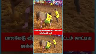 பாலமேடு வீரர்களுக்கு ஆட்டம் காட்டிய ஜல்லிக்கட்டு மாடு  Palamedu Jallikattu 2023  IBC Tamil [upl. by Poock464]