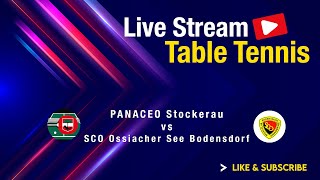 SCO Ossiacher See Bodensdorf vs PANACEO Stockerau  Grunddurchgang 20232024 [upl. by Ordisi]