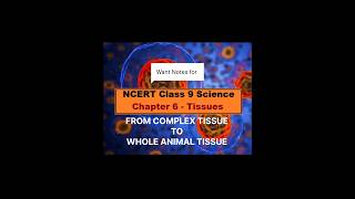 NotesChTissues class9 complex tissueanimal tissue USEFUL FOR EXAMS biologyscience studynotes [upl. by Lyman]