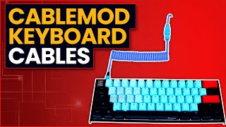 CableMod Keyboard Cables Review  Best Custom Keyboard Cables [upl. by Hpejsoj659]