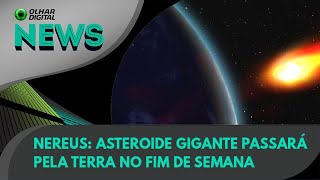 Ao Vivo  Nereus asteroide gigante passará pela Terra no fim de semana  06122021  OlharDigital [upl. by Anaujd483]