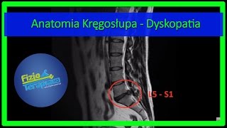 Anatomia Kręgosłupa  Dyskopatia 4 FizjoTerapia HD [upl. by Barger]