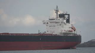 Bulker Priscilla Comes to Baltimore October 17 2022 [upl. by Torre229]