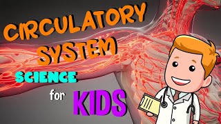 Circulatory System  Science for Kids [upl. by Ymmit]