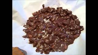 Dark Chocolate Covered Almonds [upl. by Ralfston261]