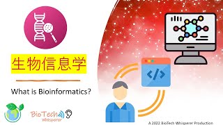 生物信息学 Bioinformatics Chinese 在十五分钟内的透视概述 [upl. by Lehcim41]