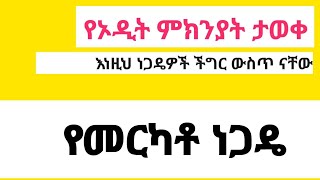 ኦዲት የሚደረጉ ነጋዴዎች [upl. by Willin]