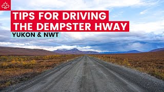 Canada Road Trip to the ARCTIC Seven Tips For Driving the DEMPSTER HIGHWAY [upl. by Roberto]