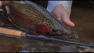 Cortland Nymph Series Fly Rods [upl. by Vig]