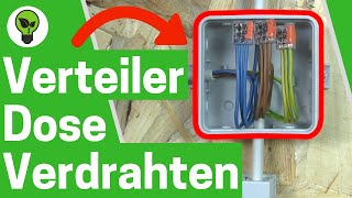 Verteilerdose Verdrahten ✅ ULTIMATIVE ANLEITUNG Wie Abzweigdose Richtig mit Klemmen Anschließen [upl. by Muiram725]