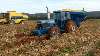 Ford 8730 in wet field [upl. by Aisenat365]