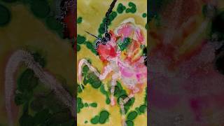 Jeweled Flower Mantis alcohol ink art  Pink and greens mantis alcoholinkart art [upl. by Genna]