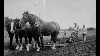 The Humble Spud  a potted history of potato growing in the Portland area of Victoria [upl. by Wu198]