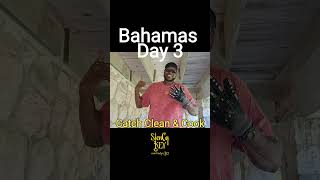 NONSTOP ACTION Day 3 in the Bahamas fishing bahamas youtubeshorts angler lobster saltlife [upl. by Ayarahs]