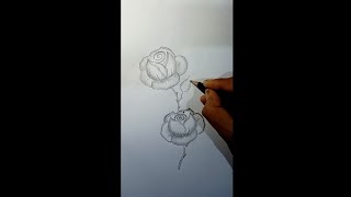 How to draw a rose easy step by step [upl. by Chobot]