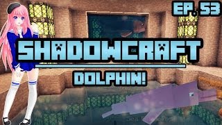 Dolphin  ShadowCraft  Ep 53 [upl. by Ilse]