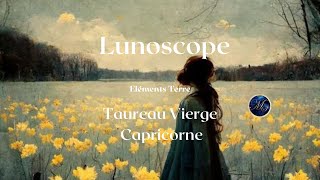 Lunoscope Element Terre Annonce publicitaire YouTube format paysage [upl. by Nauqyt]