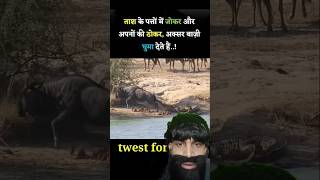 Ek Janwar ko magarmach ne pakad liya hai dosto animals [upl. by Kowalski451]