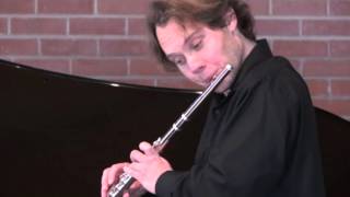 Franz Schubert – Am Meer Flute and Piano [upl. by Canon]