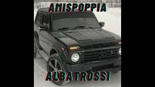 Amispoppia  Albatrossi Juha Vainio [upl. by Cowen]