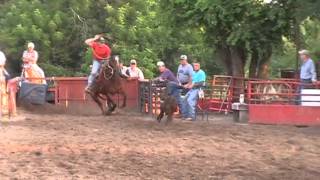 Roan Gelding in Training at TN Roping Horses  Video 2 [upl. by Gruber]