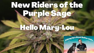 MaryLou New Riders of the Purple Sage New Riders MaryLou Pedal Steel Guitar Lesson [upl. by Newo287]