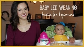 Baby Led Weaning  Basics for Beginners [upl. by Mattie]