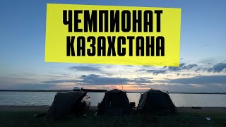 Поездка на ЧЕМПИОНАТ КАЗАХСТАНА по спортивному лову карпа 2023 озеро Тойганколь Акмолинская обл [upl. by Martinez]