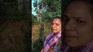 Ma uriki vacha frds vachi polamlo nenu ma ayana sithapalalu themputhunamyoutubeshorts [upl. by Nannette247]