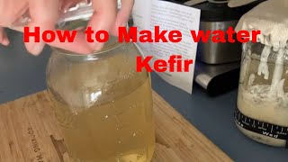 Diy Allnatural Soda Creating Water Kefir with Kefir Grains [upl. by Leahcin]