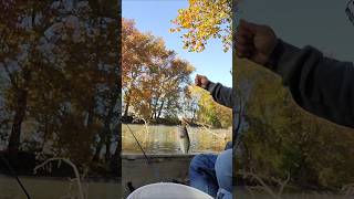 Fishing the sandusky river Tiffin Ohioshorts fyp fishing relaxing [upl. by Esinyt]