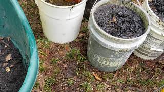 How to inoculate biochar with comfrey tea or anything else for that matter [upl. by Cony786]