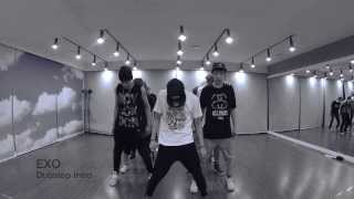 EXO Intro Dubstep [upl. by Notneiuq]