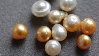 Everything You Need to Know About Mother Of Pearl [upl. by Ecirtnas]