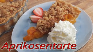 🍑 Aprikosenkuchen mit KnusperStreuseln Aprikosentart  einfach  schnell  Rezept  Videoanleitung [upl. by Aiht]