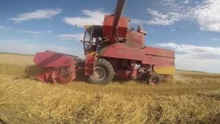 Zmaj 142 RM Wheat Harvest  Žetva pšenice [upl. by Vernen798]