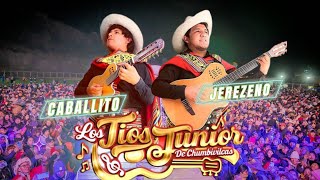 Los Tíos Junior CABALLITO JEREZANO  Concierto 2023 🎵🐎 [upl. by Lem411]