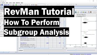 RevMan Tutorial  How To Perform Subgroup Analysis [upl. by Singleton280]