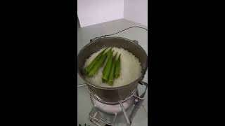 IPA Stove Rice Husk Gasifier [upl. by Brindle]