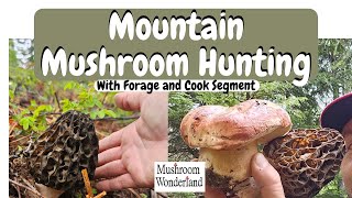 Mountain Mushroom Hunting Morels and Porcini Forage and cook [upl. by Accebor]