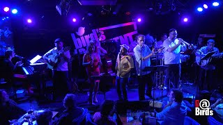 Buena Vista Social Club Tribute Live  Birds Basement 2023 [upl. by Diantha]