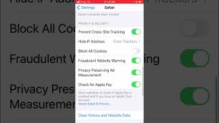 How To Delete Clear Search History On Safari on iPhone [upl. by Ted266]